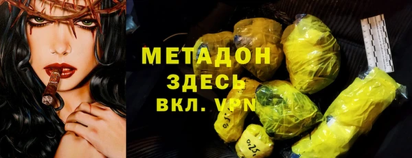 индика Вяземский