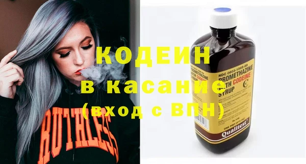 индика Вяземский