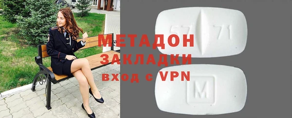 индика Вяземский
