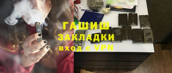 индика Вяземский