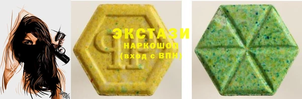 индика Вяземский