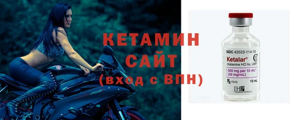индика Вяземский