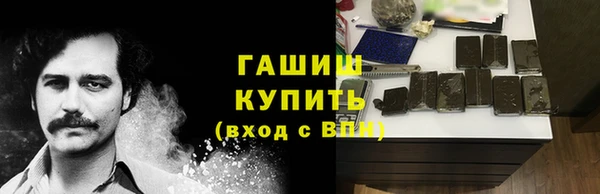 индика Вяземский