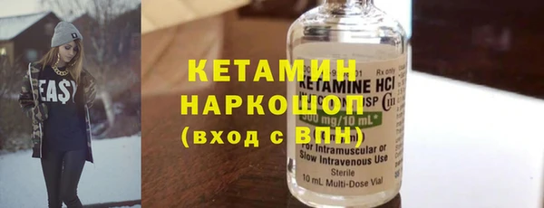 индика Вяземский