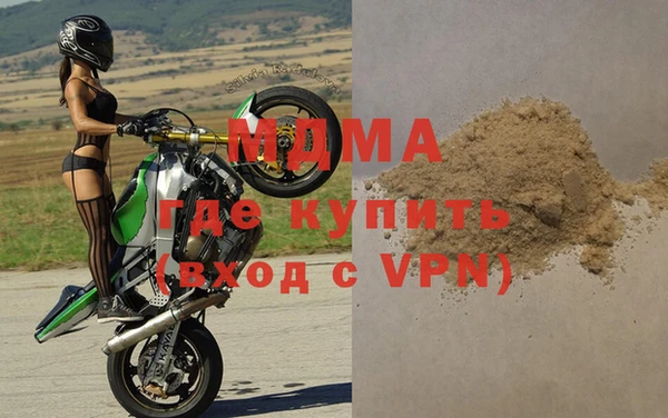 индика Вяземский