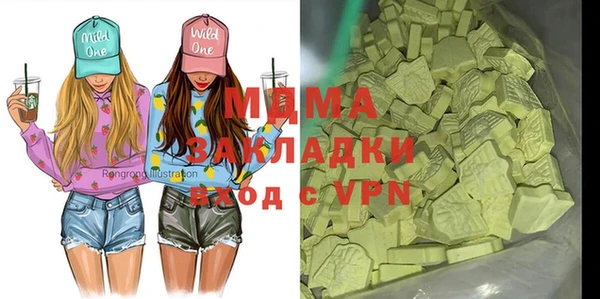 индика Вяземский
