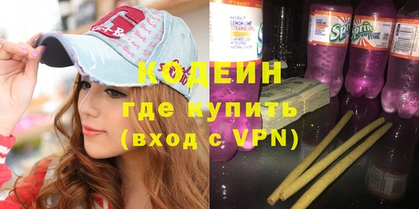 индика Вяземский