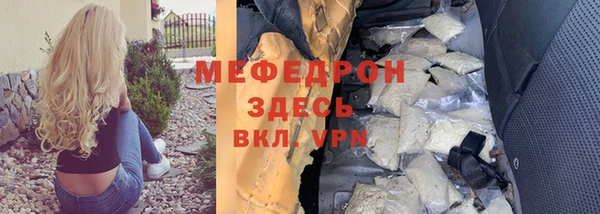 индика Вяземский