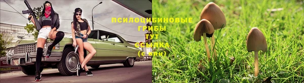 MDMA Вязники