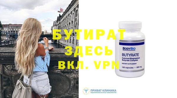 индика Вяземский