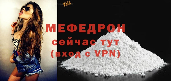 индика Вяземский