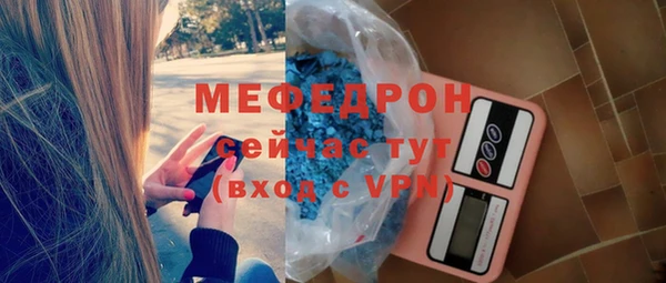 индика Вяземский