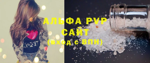 индика Вяземский